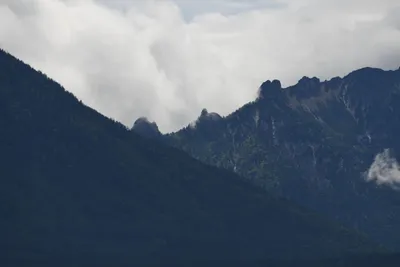 DSC_6252 (Large).JPG